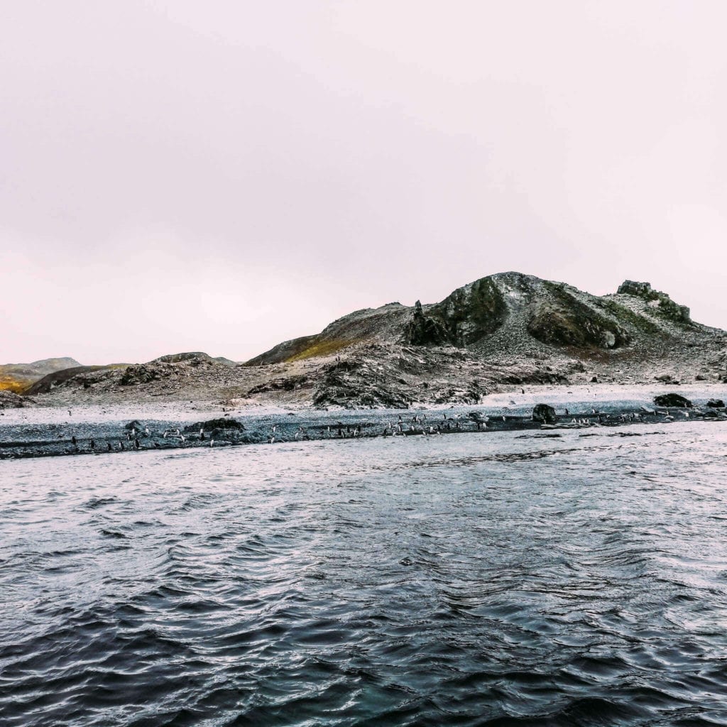Antarctica-Zodiac-Cruising