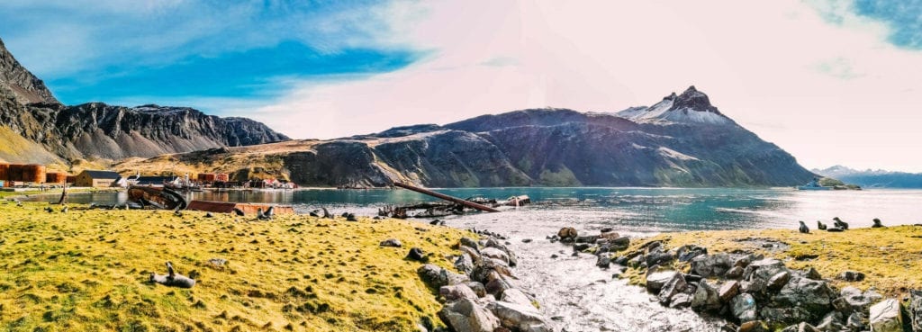 Grytviken-Landscape