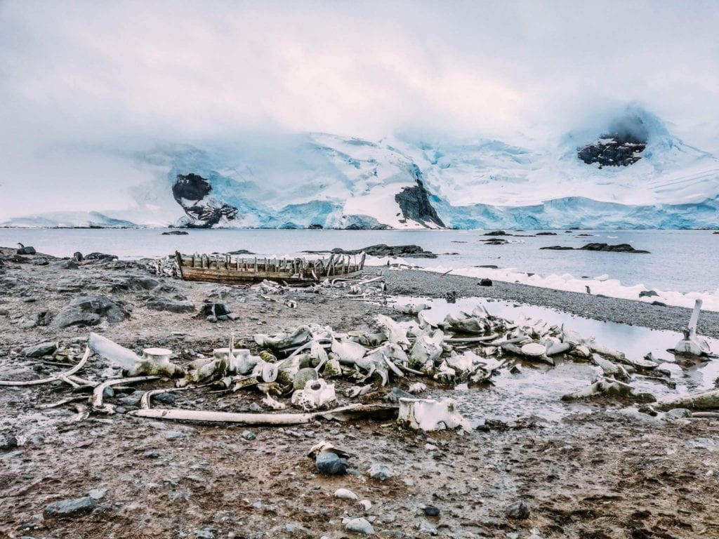 antarctica-landing