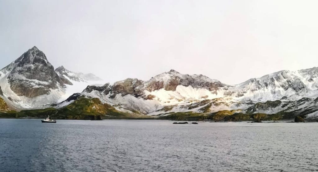 cooper-bay-south-georgia