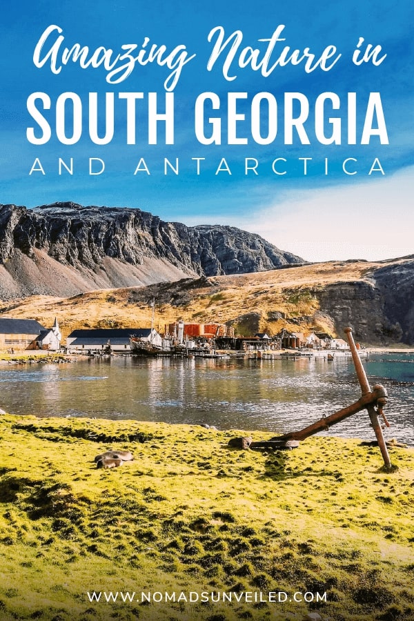 travel-south-georgia
