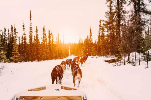 20 Interesting And Fun Facts About Alaska Nomads Unveiled