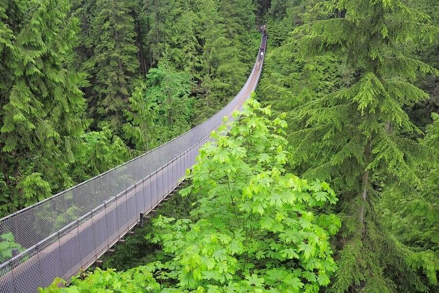 capilano-suspension-bridge