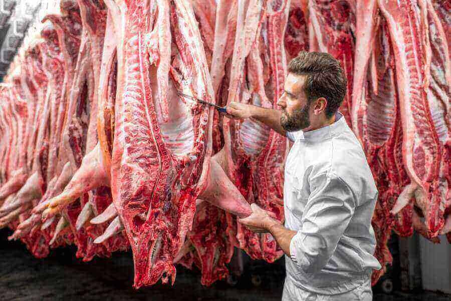 denmark-pork-industry