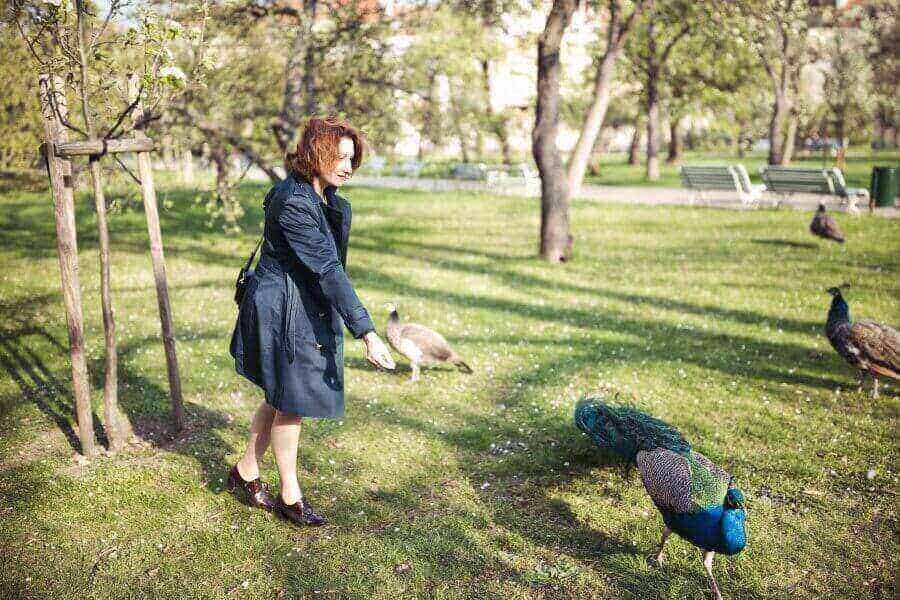 peacocks-in-vojanovy-sady