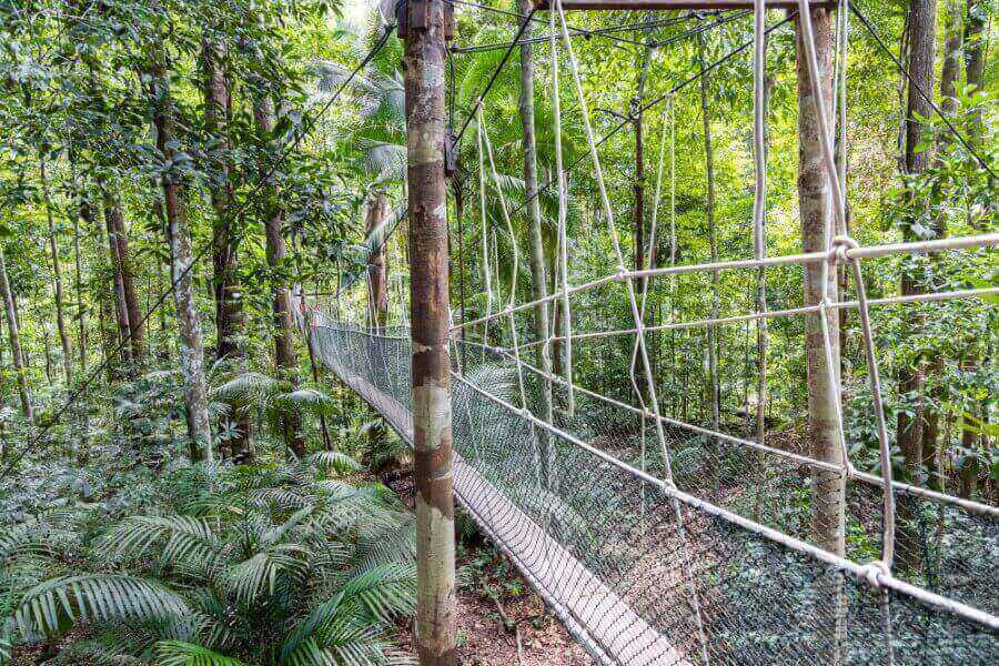 malaysia-national-parks