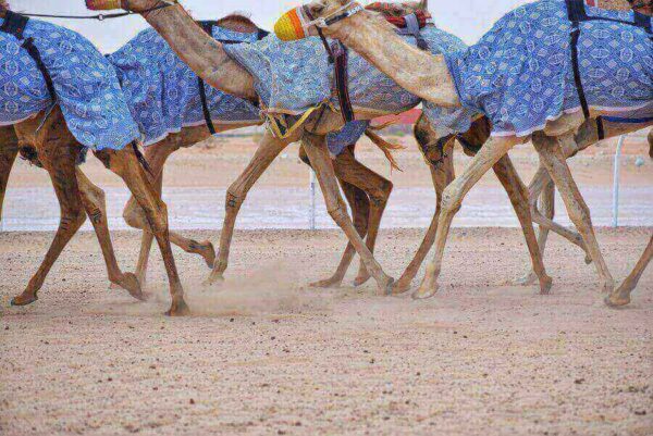 20 Interesting And Fun Facts About Kuwait [Explained]