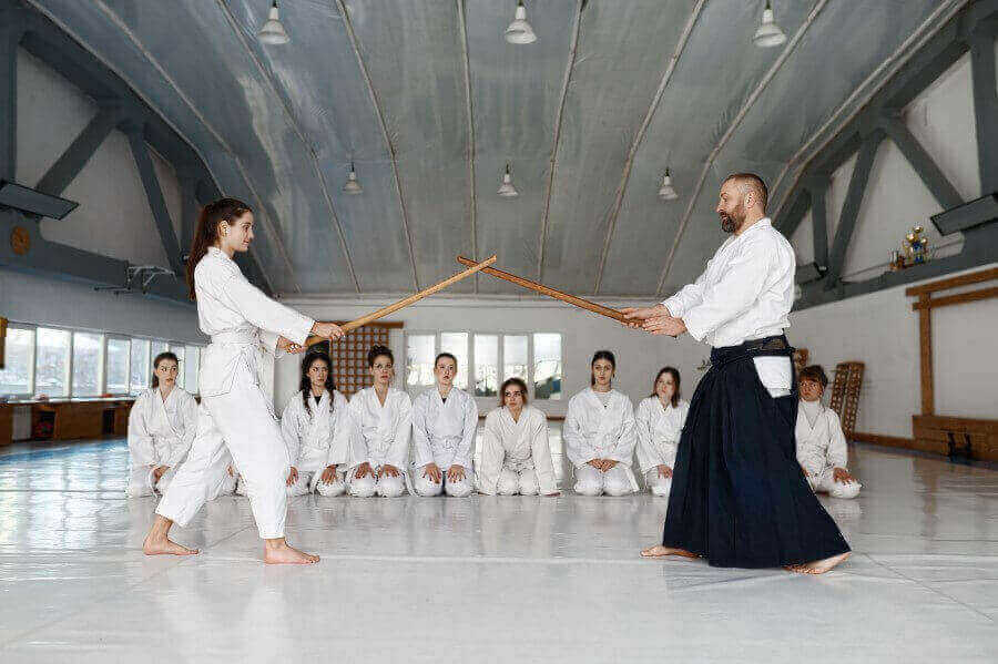popular-martial-arts