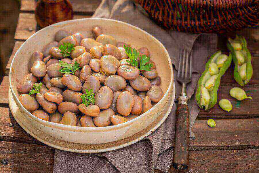spiced-fava-beans