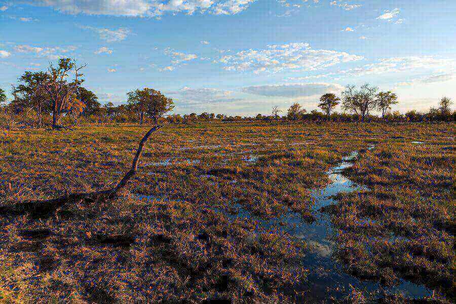 botswana-landscape