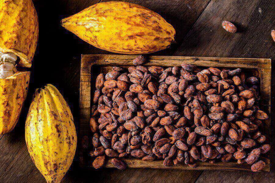 cocoa-beans
