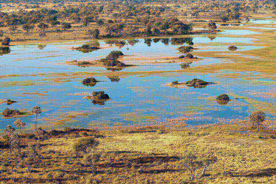 okavango-delta
