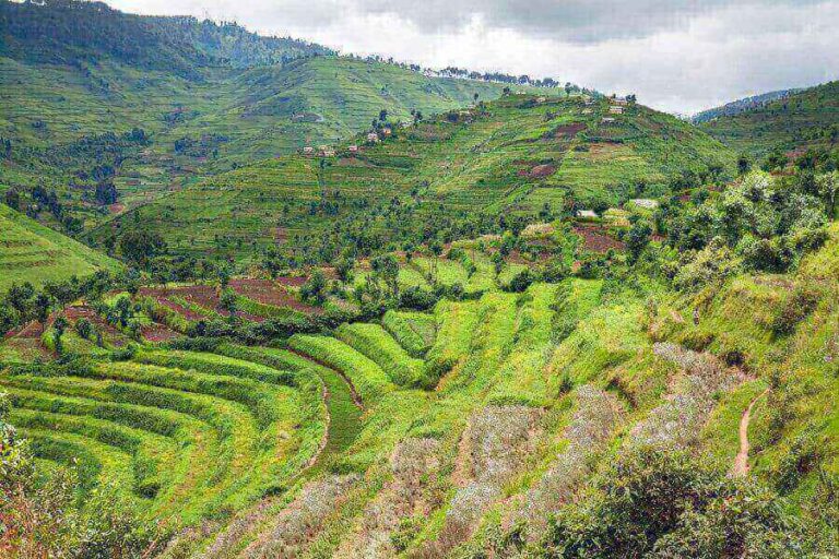 20 Interesting And Fun Facts About Rwanda [Explained]