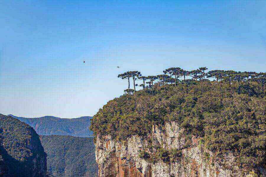 national-park-brazil