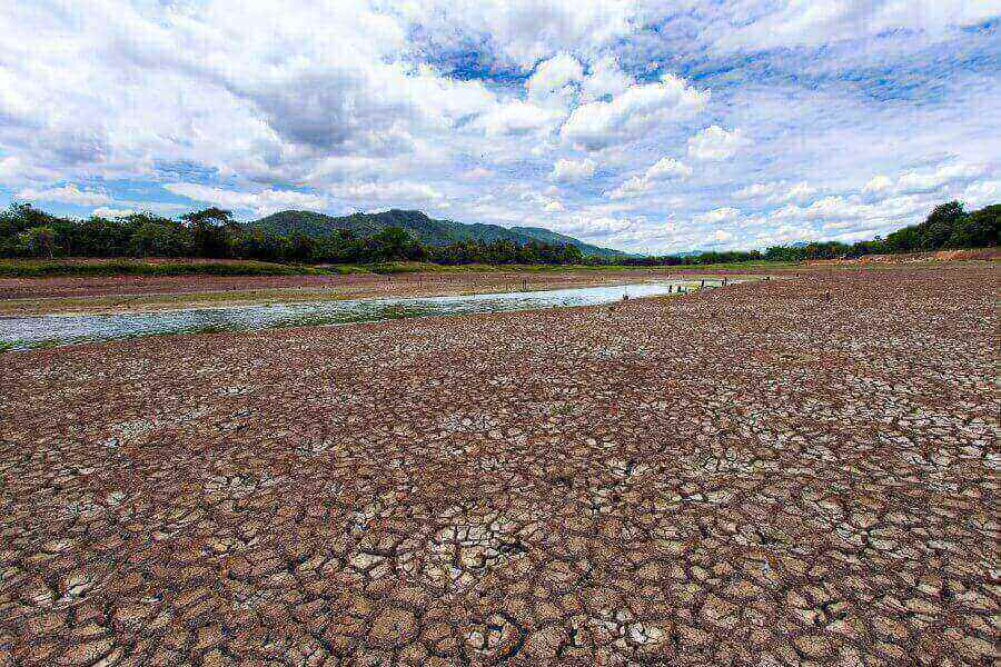 dry-season