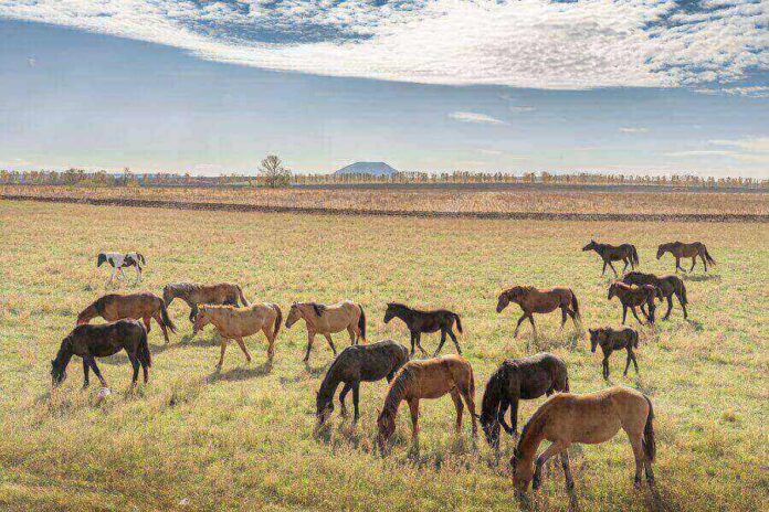 20 Interesting And Fun Facts About Montana [Explained]