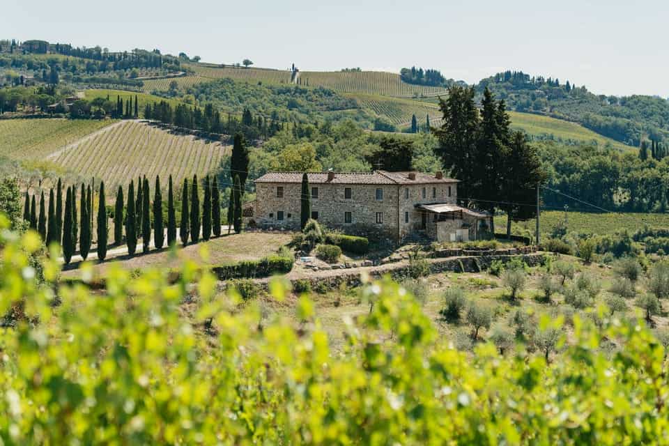 Chianti Wine Region Vineyard - Chianti Wine Region Day Trip from Florence